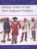 Indian Tribes of the New England Frontier (Men-at-Arms Series 428)